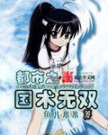 都市之国术无双无防盗无弹窗