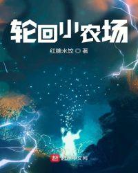 轮回小农场TXT 全文免费阅读