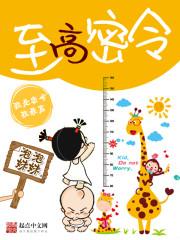 至高密令原著起点