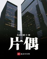 片偶意思