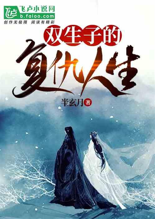 双生子主角