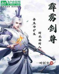 霹雳剑尊一叶红尘