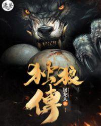 铁血独狼传