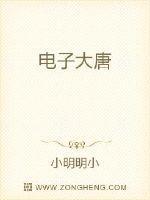 北京大唐电子