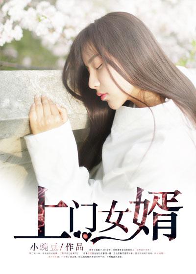 上门女婿王浩李洁合集