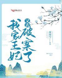 我家王妃又去破案了百度
