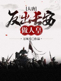 大唐反出长安做人皇作者万风雪