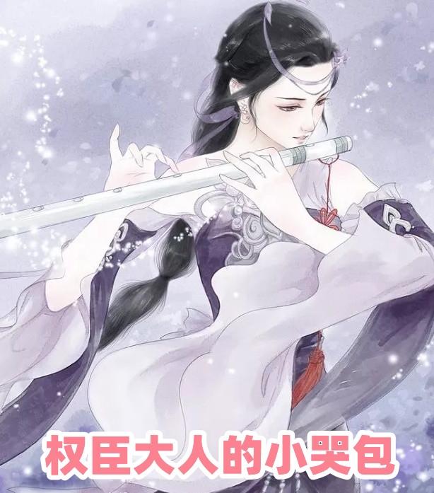 苏怀昭慕妍娇