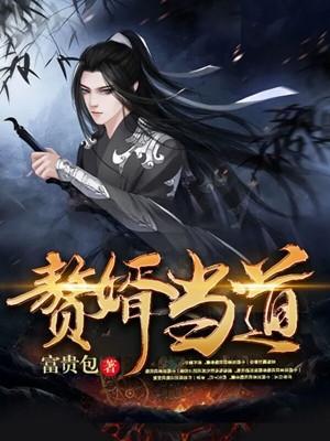 赘婿当道境界详细介绍