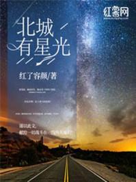 北城有星光210章节