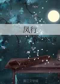 风行菱智