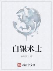 白银之手骑士