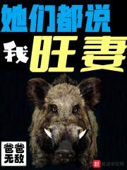她们都说我旺妻TXT