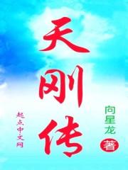 天刚传插曲