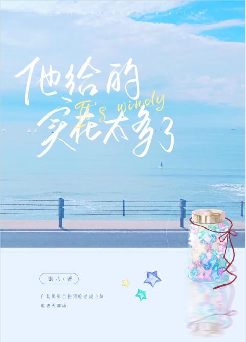 他给的实在太多了英文