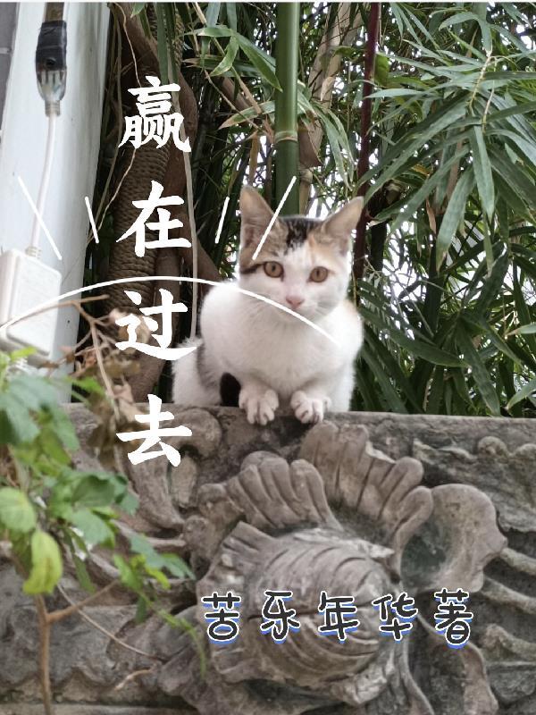 赢在当下作文600字