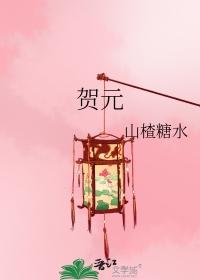 贺元山楂糖水