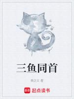 三鱼共首有什么寓意