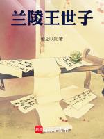 兰陵王中太子叫什么