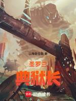 圣罗兰n°9