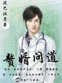 赘婿文一个套路