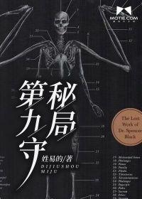 第九守秘局动画