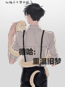 德哈重温旧梦书海阁网页