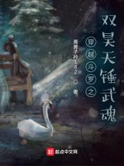 穿越斗罗大陆之昊天锤系统