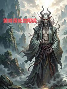 苗岭山寨的意思