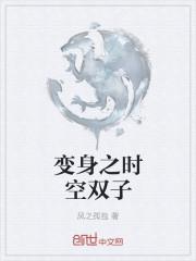 时空智识双子