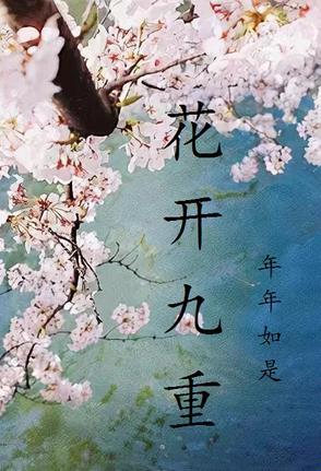 花开九州烟花