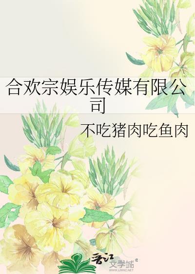 娱乐传媒有限公司