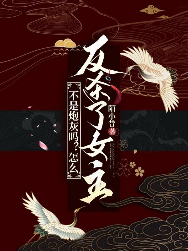 不当炮灰的炮灰
