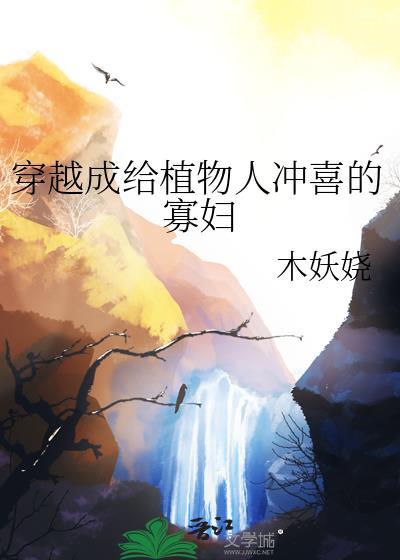 穿成植物人冲喜的寡妇笔趣阁
