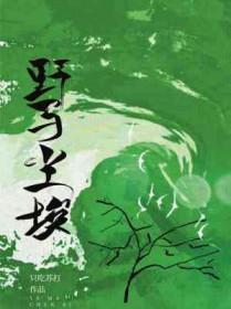 野马尘埃象征着什么