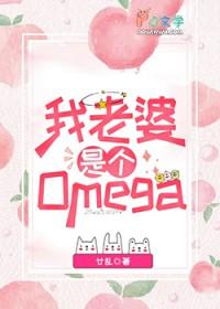 我老婆是个omega阅读全文
