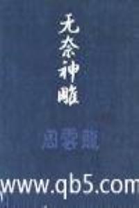无奈神雕全本TXT