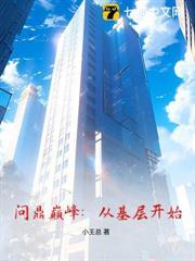 问鼎巅峰的境界划分