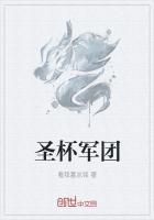 圣杯战线规则