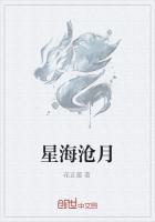 沧海星阵搭配