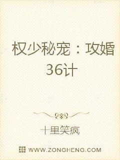 权少蜜宠