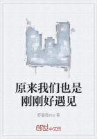 遇见最美好免费阅读