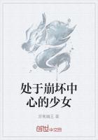 崩坏解释