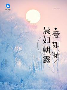 爱如晨曦全文免费阅读