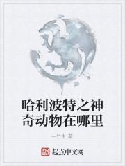 哈利波特2之神奇动物在哪里
