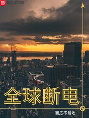 全球停电15年电影
