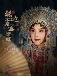 鬓边不是海棠红于正是干嘛的