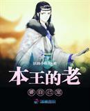 本王老婆太犀利免费阅读