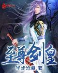 至尊剑皇几个老婆