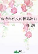 穿成年代文的极品媳妇 作